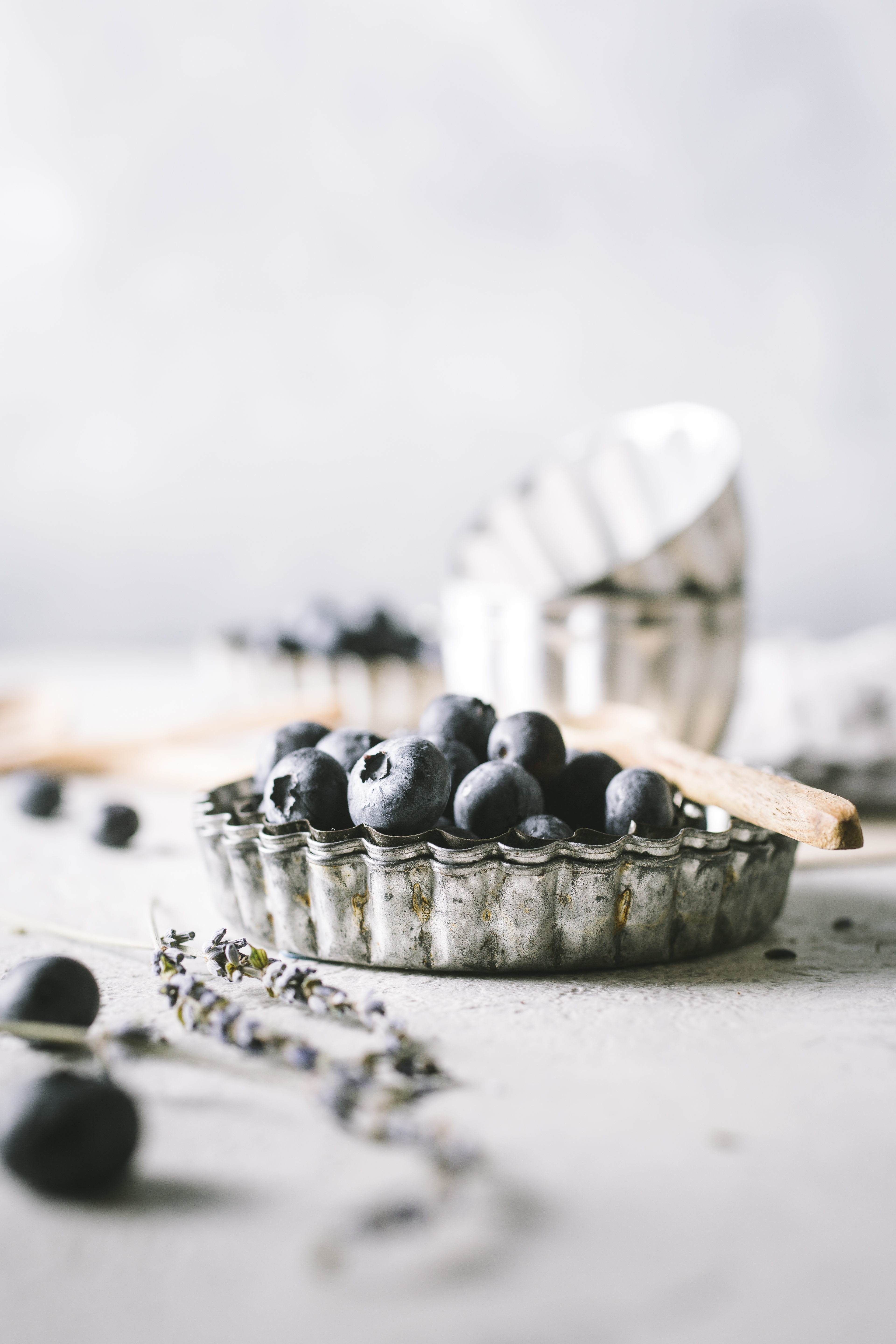 BLUEBERRIES STILL LIFE